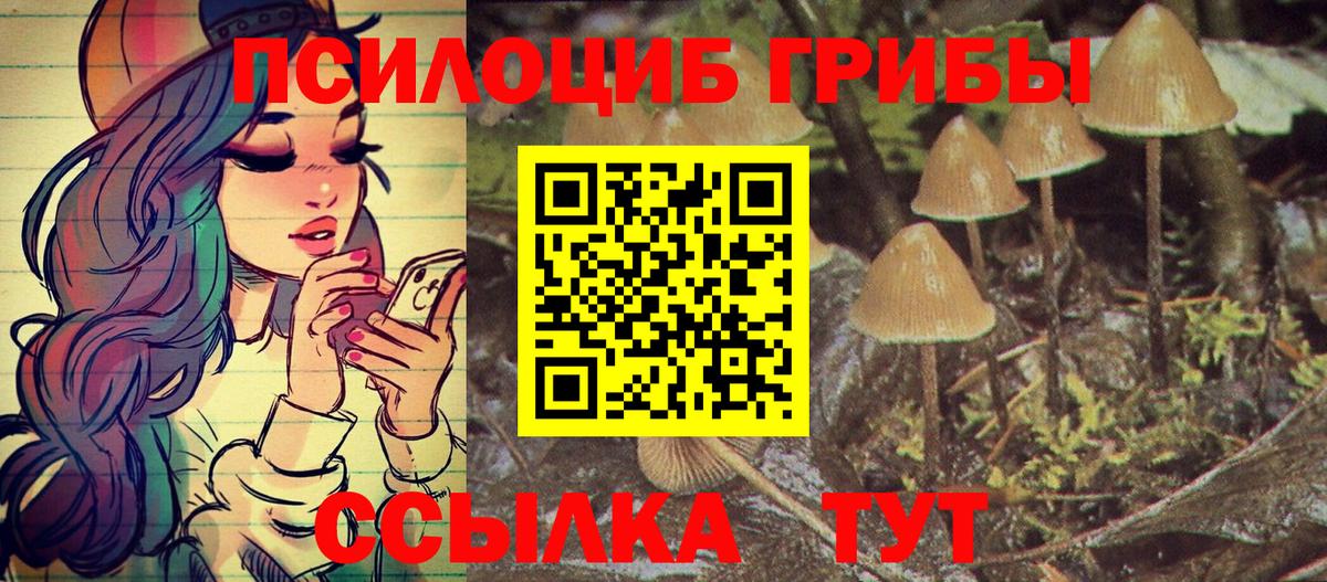 Псилоцибиновые грибы MAGIC MUSHROOMS Красноярск