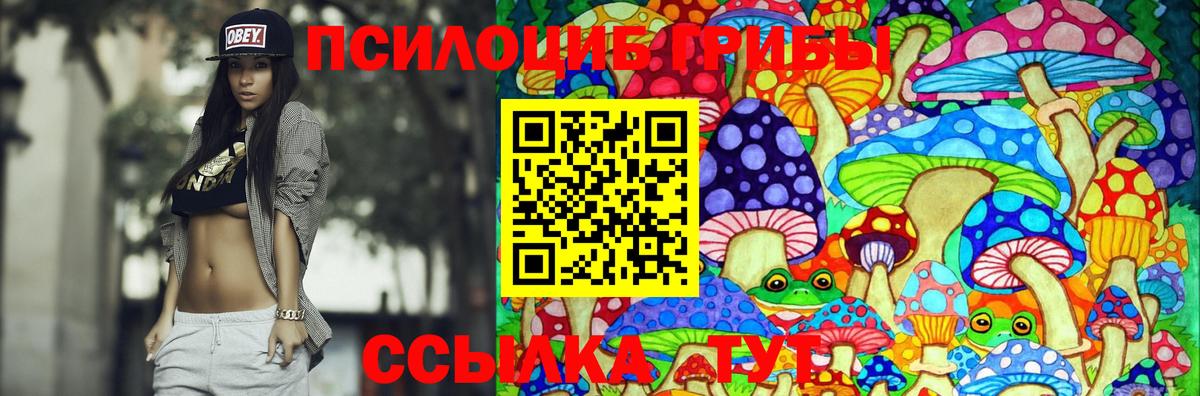 Красноярск  даркнет сайт  Вход с VPN  Галлюциногенные грибы GOLDEN TEACHER 